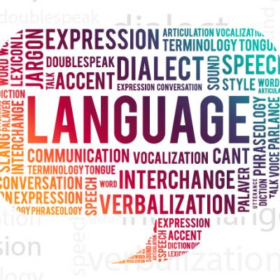 Portaf3 Mesa De Trabajo 1